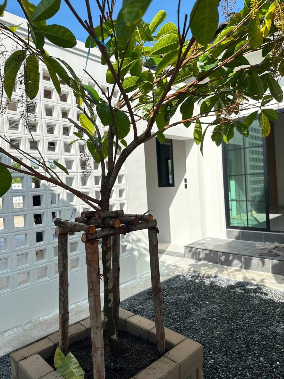 Single house, Big Piman, Nikhom Phatthana Soi 5 photo 3
