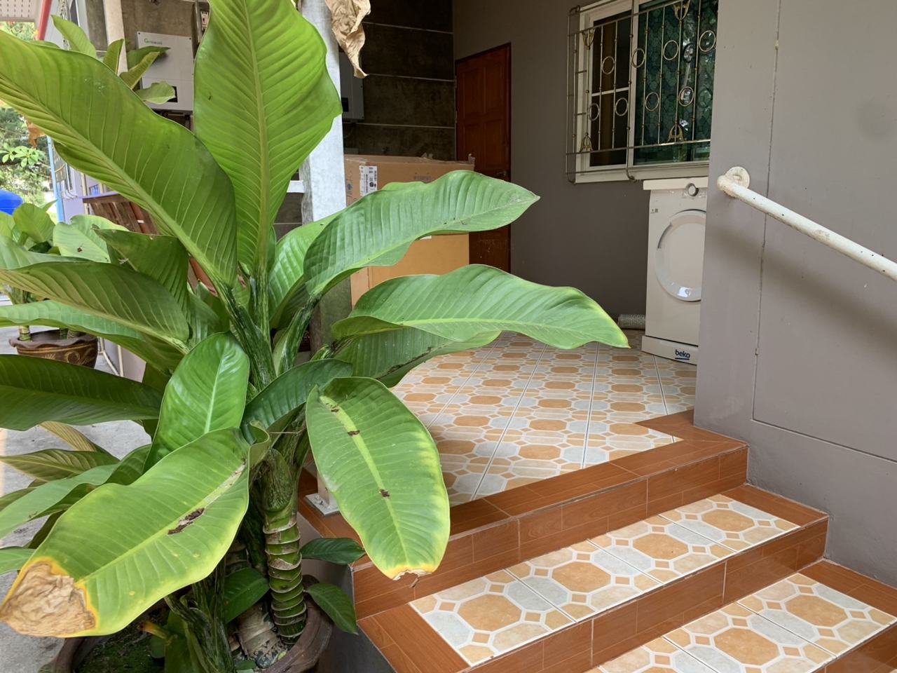 Two detached houses on 1 rai 1 ngan 83 sq.wa, central Rayong photo 8