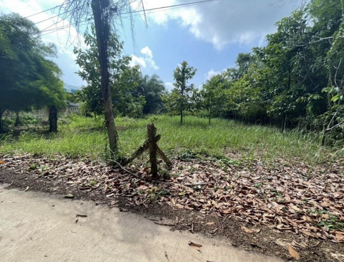 Land 200 sq.wa on a public road, 3 minutes to Mae Ramphueng Beach, Taphong photo 1