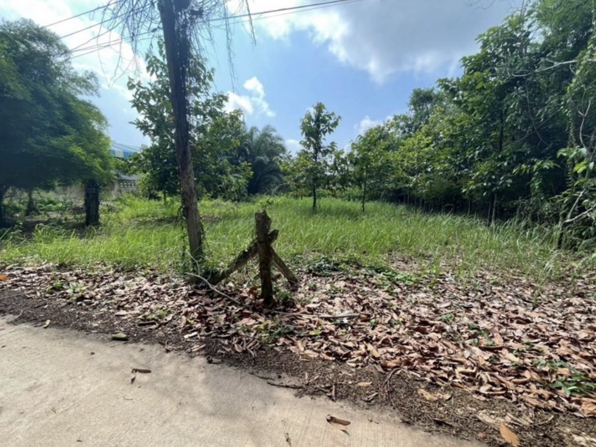 Land 200 sq.wa on a public road, 3 minutes to Mae Ramphueng Beach, Taphong, Mueang Rayong, Rayong